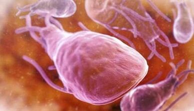 Quels sont les parasites dans le foie d'une personne